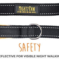 Mighty Paw - Correa para perro con dos asas, 6 pies, doble correa con asa de tráfico y mosquetón. 2 asas para perros grandes y tiradores. - BESTMASCOTA.COM