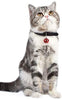 Lumimi - Collar para gato, collar para cachorro, piel auténtica, longitud ajustable, fácil de limpiar, duradero y seguro, incluye cascabel y perforador, multicolor - BESTMASCOTA.COM