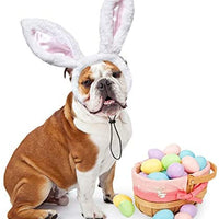 RYPET - Juego de 2 orejas de conejo de Pascua para perros y gatos pequeños a grandes - BESTMASCOTA.COM