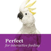 Brown's Tropical Carnival Crunchy Crisp Bird Treat Sticks - BESTMASCOTA.COM