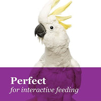 Brown's Tropical Carnival Crunchy Crisp Bird Treat Sticks - BESTMASCOTA.COM