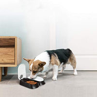 PAWISE Alimentador automático para mascotas para perros y gatos, estación dispensadora de alimentos con temporizador, 100% libre de BPA, apto para lavavajillas, grandes ideas de regalo - BESTMASCOTA.COM