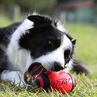 Juguete para perro Nerf de goma - BESTMASCOTA.COM