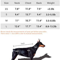 DroolingDog - Camisas de verano para gatos, ropa para perros pequeños - BESTMASCOTA.COM