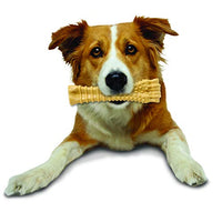 Nylabone Dura Masticar Poder Masticar Perro Juguete - BESTMASCOTA.COM