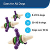 Juguete para perro PetSafe Busy Buddy Jack, juguete para masticar con dulces - BESTMASCOTA.COM