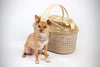 Iris Animal Carrier - BESTMASCOTA.COM