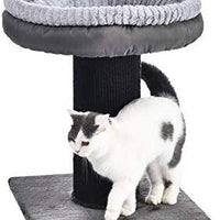 AmazonBasics Cat Post - BESTMASCOTA.COM