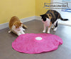 Blackhole Catch The Tail - Juguete para gato - BESTMASCOTA.COM