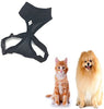 Coastal Pet Mesh Cat Harness - BESTMASCOTA.COM