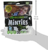 Vetiq Minties Dog Dental Bone Treats, Dental Treats For Dogs, 16Oz - BESTMASCOTA.COM