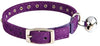 KOOLTAIL - Collar de terciopelo elástico de seguridad para gato, con cristales y campana, 20,32 a 10.5 in - BESTMASCOTA.COM