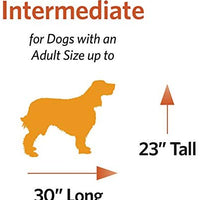 Jaula de metal para perros, con puerta simple o doble, plegable de New World - BESTMASCOTA.COM