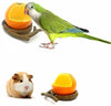 Aves Alimentador Bowl, Comida para pájaros con tazón Feed Copa para pequeños loros Cockatiels Conure hámster animal pequeño recipiente de agua potable para las Aves Jaula accesorios - BESTMASCOTA.COM