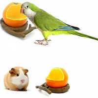 Aves Alimentador Bowl, Comida para pájaros con tazón Feed Copa para pequeños loros Cockatiels Conure hámster animal pequeño recipiente de agua potable para las Aves Jaula accesorios - BESTMASCOTA.COM