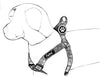 Arnés ajustable Pupteck para perro, medida básica de cachorro, de nailon, chaleco para pasear en exteriores con etiqueta de identificación - BESTMASCOTA.COM