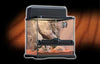 EXO TERRA Desert Habitat Kit - BESTMASCOTA.COM