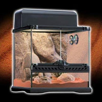 EXO TERRA Desert Habitat Kit - BESTMASCOTA.COM