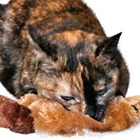 Catnip Cat Toy con pliegue sonido y rellenables Catnip Pouch – por 3 gatos - BESTMASCOTA.COM