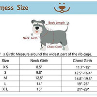 Ringloose - Arnés de malla suave para perros pequeños, medianos, cachorros, mascotas, fácil de controlar, para caminar y entrenar - BESTMASCOTA.COM