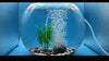 Wenshall - Piedras de aire redondas pequeñas para acuarios, difusor de oxígeno, tanque de peces, para acuarios, hidroponía, piedra de oxígeno 4/8 piezas - BESTMASCOTA.COM