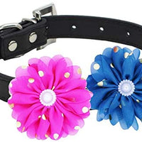 Collares de flores para mascotas, accesorios para gatos, - BESTMASCOTA.COM