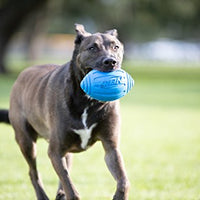 Nerf juguete fútbol con sonido para perro - BESTMASCOTA.COM