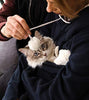 KangaKitty - Sudadera con capucha para mascotas, diseño de gato y perro - BESTMASCOTA.COM