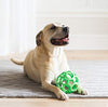 JW Hol-ee Roller Original - Bola dispensadora de dulces para perro, goma natural dura, varios colores - BESTMASCOTA.COM
