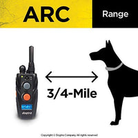 Dogtra sistema de collar con control remoto ARC para entrenamiento de mascotas color negro, Negro - BESTMASCOTA.COM