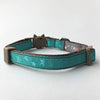 Fantasia Pet Breakaway CAT Collar - Star - BESTMASCOTA.COM