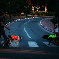 Chaleco reflectante de seguridad para perros, 5 tamaños para adaptarse a perros de 10 libras – 130 libras: alta visibilidad para actividades al aire libre día y noche, mantiene a tu perro visible, seguro de coches y accidentes de caza | Blaze Orange chale - BESTMASCOTA.COM