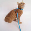 Gizhome - 2 arnés y correa ajustables de nailon para gato, color naranja y azul claro - BESTMASCOTA.COM