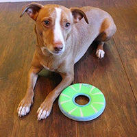 ¡Chuckit! Juguete para perro Zipflight - BESTMASCOTA.COM