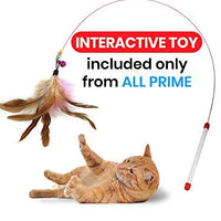 All Prime Cat Tunnel- También se incluye un juguete interactivo para gatos (valor de 5 dólares), juguetes para gatos, túneles para gatos de interior, tubo para gatos, túnel plegable de 3 vías, gran juguete para gatos y conejos - BESTMASCOTA.COM