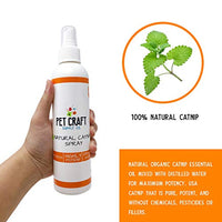 Pet Craft Supply Premium Potent Catnip - BESTMASCOTA.COM