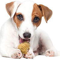 Comidas saludables Nylabone, golosinas masticables para perros de hasta 20 libras - BESTMASCOTA.COM