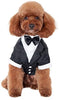 Kuoser - Camisa para perro, para cachorro o mascota, con corbata negra, ideal para bodas - BESTMASCOTA.COM