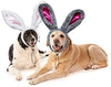 RYPET - Juego de 2 orejas de conejo de Pascua para perros y gatos pequeños a grandes - BESTMASCOTA.COM