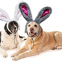 RYPET - Juego de 2 orejas de conejo de Pascua para perros y gatos pequeños a grandes - BESTMASCOTA.COM