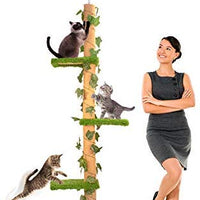 Downtown Pet Supply - Árbol y ejercitador interactivo de lujo para gatos rascadores y postes de sisal para gatito, juguetes interactivos para gatos (regular, premium, gigante, alto de 4 niveles de rasguño) - BESTMASCOTA.COM