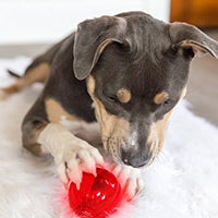 Juguete interactivo para perro Pet Qwerks Blinky Babble Ball, parpadea y habla cuando se toca - BESTMASCOTA.COM