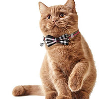 KUDES - Juego de 2 collares para gato con pajarita y campana para gatitos y algunos cachorros, ajustable de 7.8 a 10.5 pulgadas - BESTMASCOTA.COM