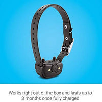 Garmin BarkLimiter Deluxe - collar controlador de ladridos, con batería recargable, Negro - BESTMASCOTA.COM
