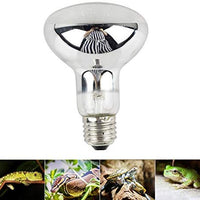 QSLQYB UVA + UVB Full Spectrum Sun Lamp Sunbathe Reptile Lizard Lamp UV Heating Lamp - BESTMASCOTA.COM