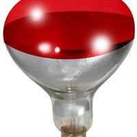 Little Giant 250-watt Rojo Brooder foco de recambio para lámpara - BESTMASCOTA.COM