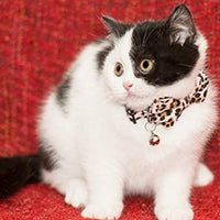 Gyapet Collar para gatos y mascotas Romper con timbre Bowtie Floral lazo desmontable ajustable de seguridad cachorro - BESTMASCOTA.COM