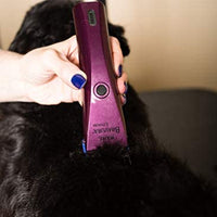 Wahl Bravura Ion de litio Clipper - BESTMASCOTA.COM