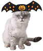 Idepet - Disfraz de Halloween para perro, 8 alas de araña, color morado, para cachorros - BESTMASCOTA.COM