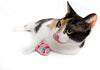 Disfraz de unicornio para perro y gato, disfraz de mascota de Pet Krewe - BESTMASCOTA.COM